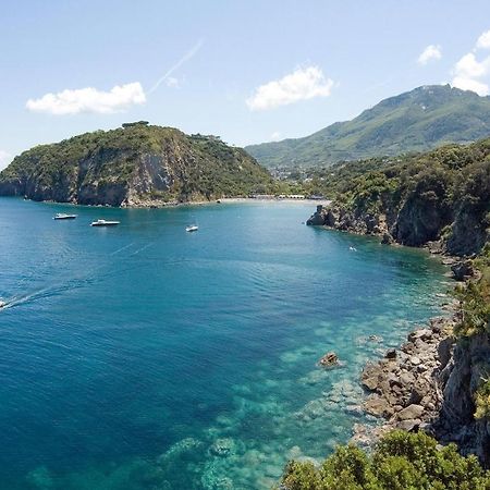 Pet Friendly Home In Ischia With Wifi Exterior photo